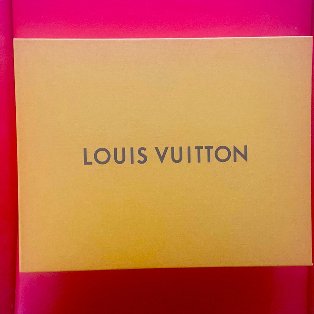 Louis Vuitton shoe 👞 box.